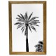 Black and white big palmtrees  20 x 30 cm framed poster