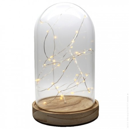 Glass dome with led string