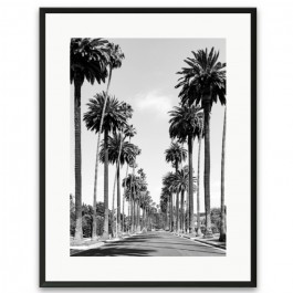 Black and white bPalm of Beverly Hills framed poster