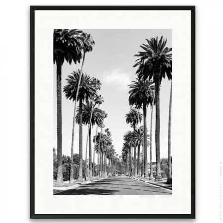 Black and white black palmtrees framed poster