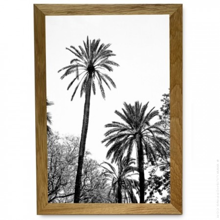 Black and white big palmtrees 2  20 x 30 cm framed poster