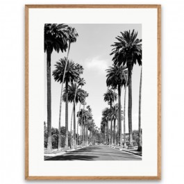Black and white Palm of Beverly Hills XL framed poster