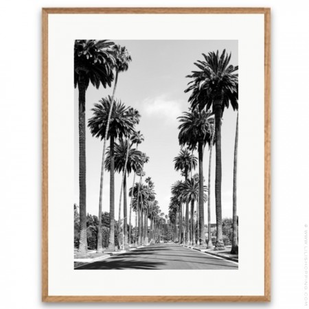 Black and white Palm of Beverly Hills framed poster