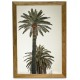Black and white vintage big palmtrees 1 20 x 30 cm framed poster