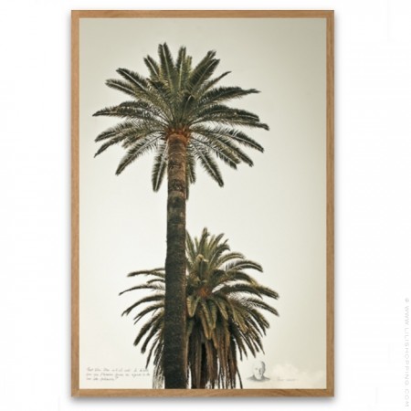 Black and white big palmtrees 2 framed poster
