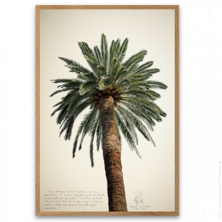 Black and white vintage big palmtrees 1 framed poster