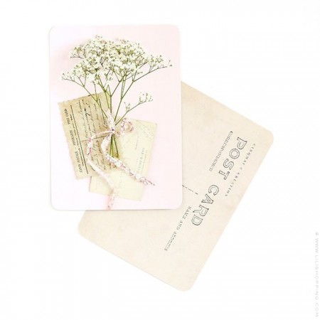 Carte postale Cinq Mai - Brindoille Gypsophile rose
