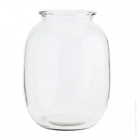 Clear glass vase