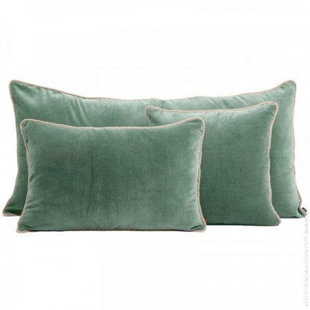 NewDelhi celadon rectangular cushion with inner