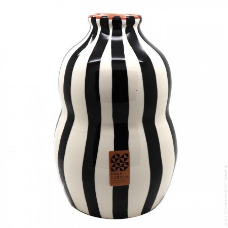 Black ray Gourd vase